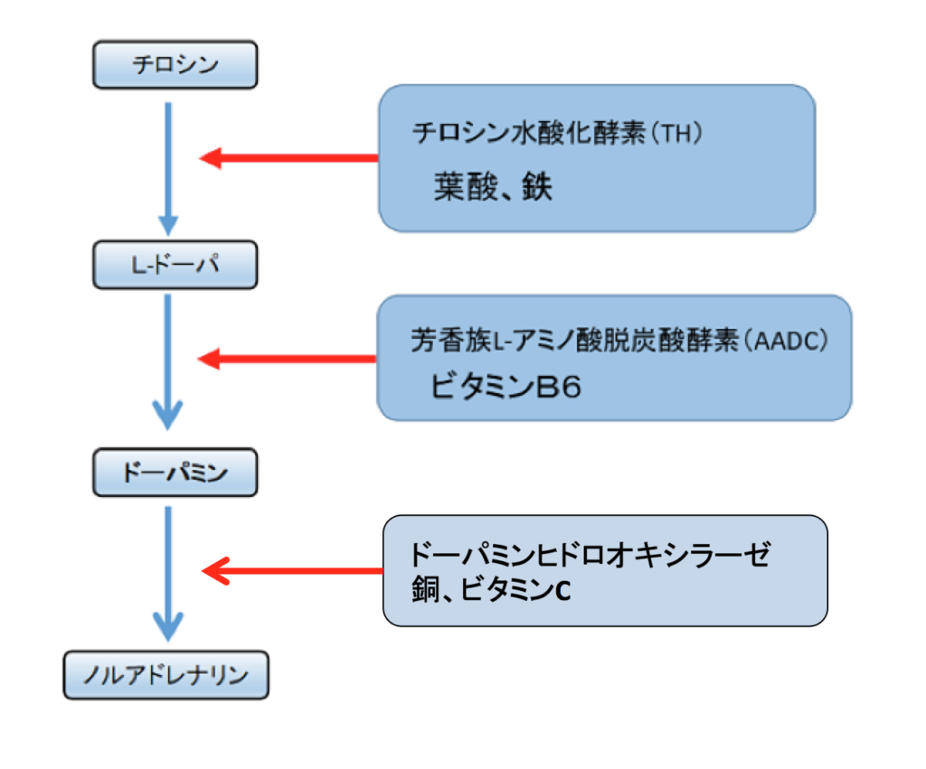 むずむず脚症候群 知ることと学ぶこと