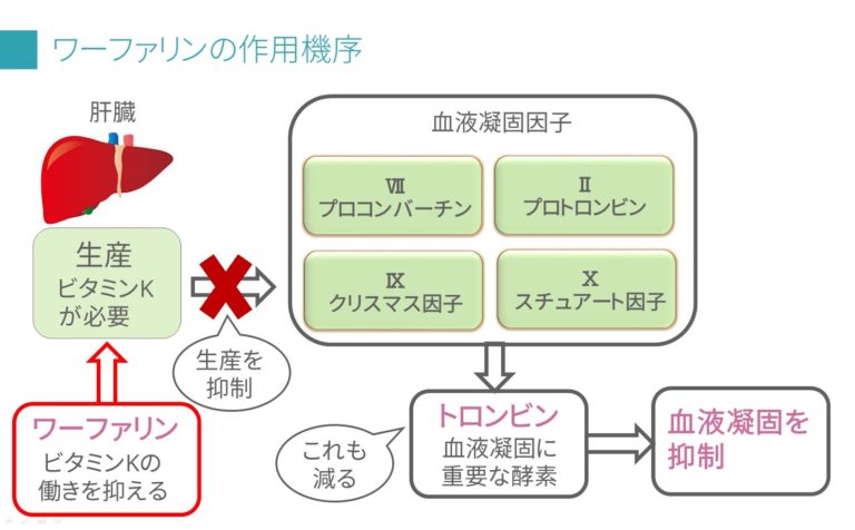 市販のサプリメント