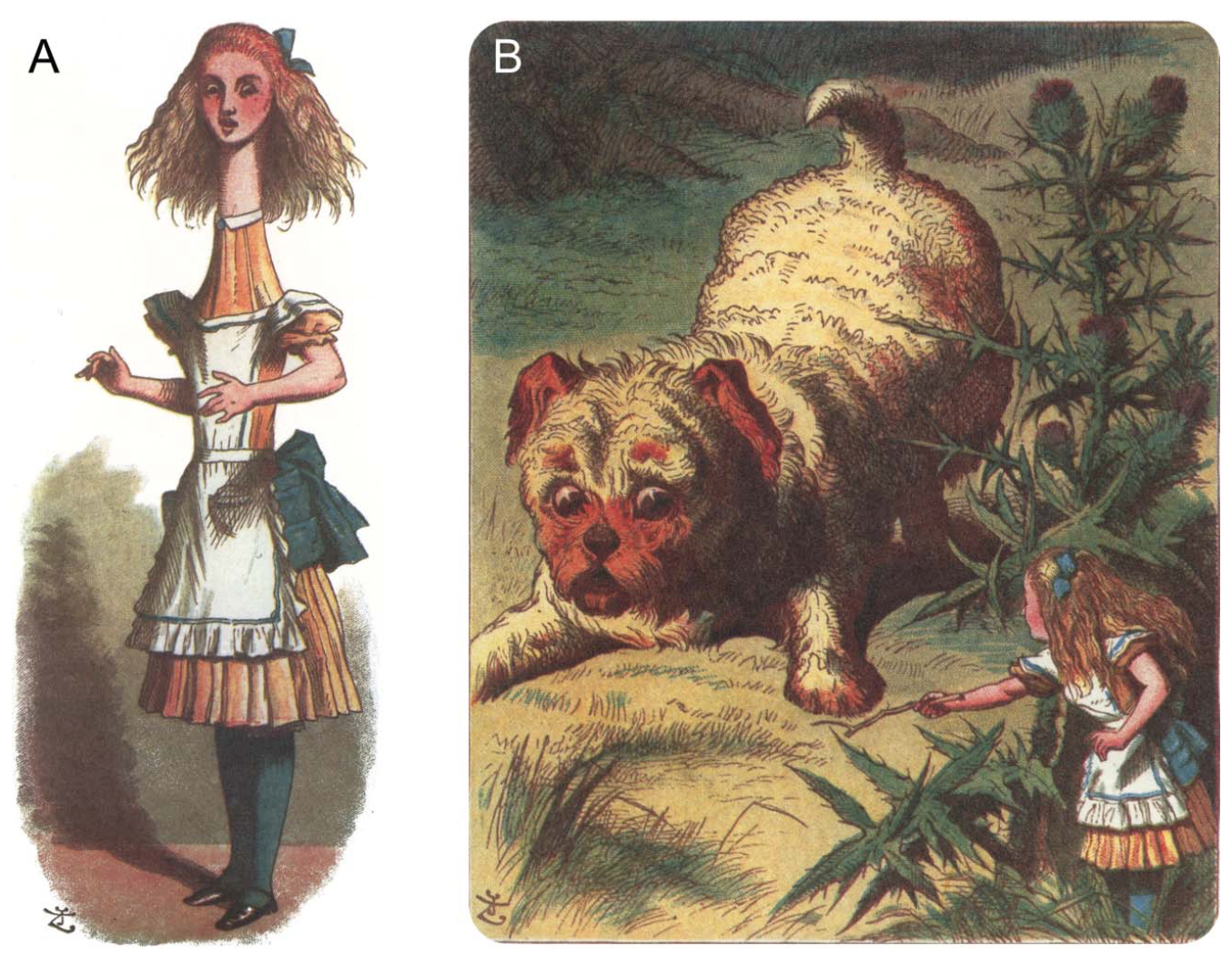 不思議の国のアリス症候群 天王寺こいでクリニック 心療内科 神経内科 栄養療法