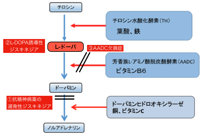 ジスキネジア 知ることと学ぶこと