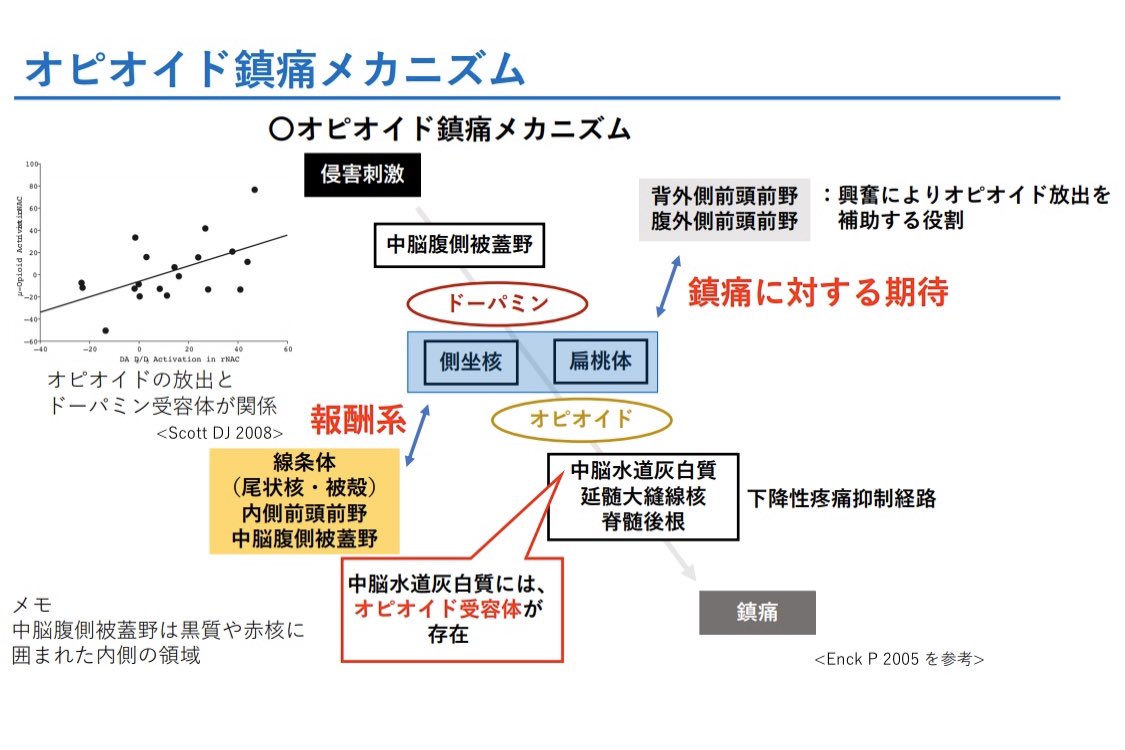 サインバルタによる性的副作用