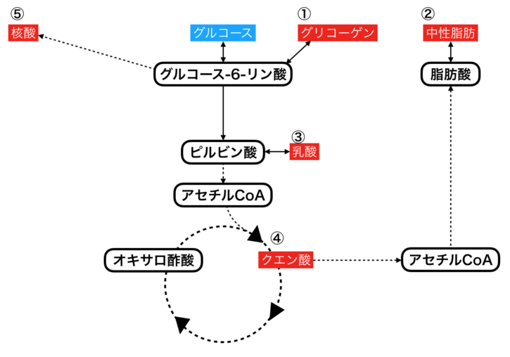 薬剤による糖質制限の注意点 - 天王寺こいでクリニック 心療内科・神経内科・栄養療法