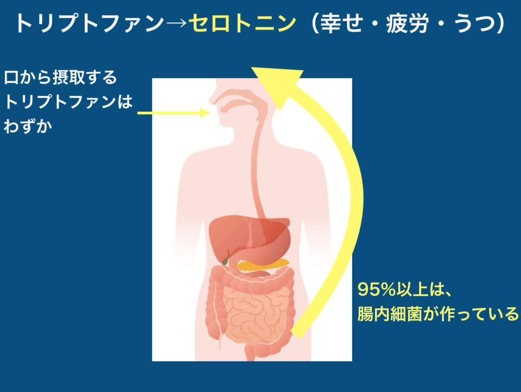 うつ病の５つの治療パターン 知ることと学ぶこと