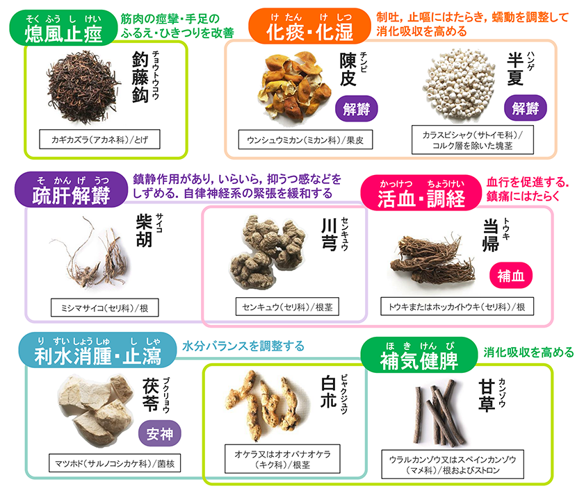 半夏と陳皮 - 天王寺こいでクリニック 心療内科・神経内科・栄養療法・漢方内科