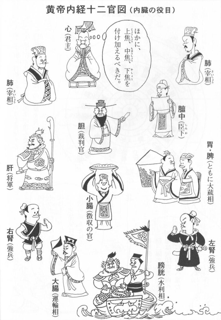 新編黄帝内径綱目 THE YELLOW EMPEROR'S CLASSIC OF MEDICINE | IMK Books